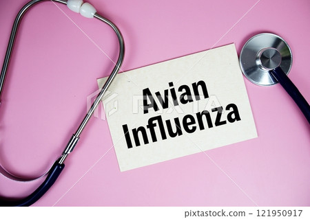 Avian Influenza disease text with stethoscope on pink background, Healthy and wellness concept Avian Influenza disease text with stethoscope on pink background, Healthy and wellness concept 121950917