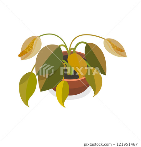 3D Isometric Flat Vector Set of Withered Houseplants In Pots, Fading Indoor Plants. Item 3 121951467