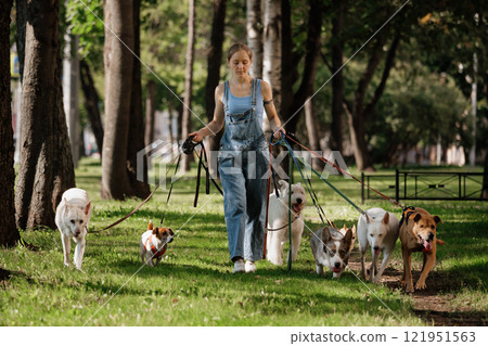 woman is walking her dogs in park 121951563
