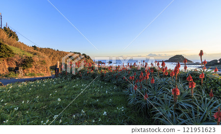 Winter in Tsumekizaki in the morning 121951623