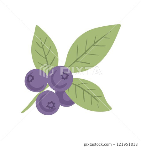 A sprig of blueberries 121951818