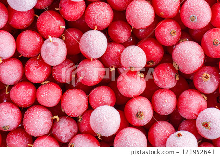 frozen red currants in large quantities 121952641