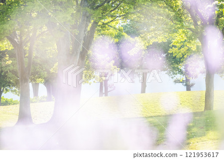公園裡綠意盎然，景色熠熠生輝 121953617