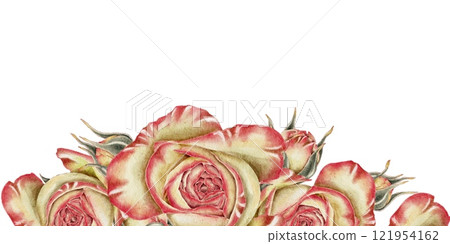 Yellow and pink roses, banner watercolor illustration. For decorating holidays, Mother's Day cards, Valentine's Day, weddings, birthdays, funerals in a realistic botanical style. Yellow and pink roses, banner watercolor illustration. For decorating holidays, Mother's Day cards, Valentine's Day, weddings, birthdays, funerals in a realistic botanical style. 121954162