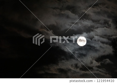 On a spooky night, the full moon appears 121954410