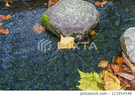 Scene of fallen plane tree leaves floating on the water surface 121954546