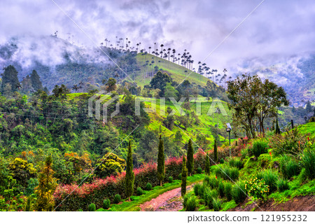 Enchanting landscape of Cocora valley near Salento in Colombia, South America 121955232