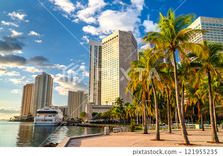 Skyscrapers of Downtown Miami seen from Bayfront Park, Florida, United States 121955235