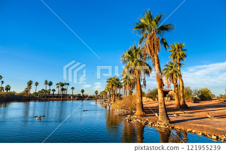 Palm Trees and Water Reflection at an Oasis Surrounded by Desert in Papago Park, Phoenix, Arizona, United States 121955239