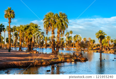 Palm Trees and Water Reflection at an Oasis Surrounded by Desert in Papago Park, Phoenix, Arizona, United States Palm Trees and Water Reflection at an Oasis Surrounded by Desert in Papago Park, Phoenix, Arizona, United States 121955240