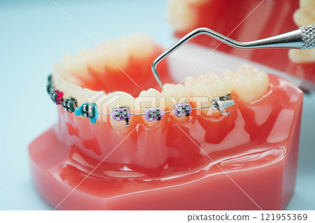 Teeth dental model with tool for dentist use to cleaning care treatment. Teeth dental model with tool for dentist use to cleaning care treatment. 121955369