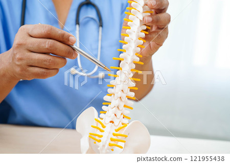 Asian doctor holding spinal nerve and bone model, Lumbar spine displaced herniated disc fragment for treatment medical in the orthopedic department. Asian doctor holding spinal nerve and bone model, Lumbar spine displaced herniated disc fragment for treatment medical in the orthopedic department. 121955438