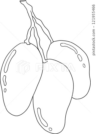 Hand drawn line mango. Tropical fruit coloring pages Hand drawn line mango. Tropical fruit coloring pages 121955466