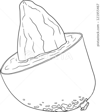 Hand drawn line mango. Tropical fruit coloring pages Hand drawn line mango. Tropical fruit coloring pages 121955467