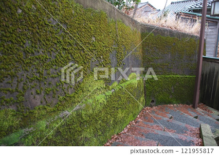 Moss-covered wall on Kuragarizaka in Kazue Chaya District, Kanazawa City, Ishikawa Prefecture Moss-covered wall on Kuragarizaka in Kazue Chaya District, Kanazawa City, Ishikawa Prefecture 121955817