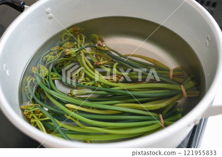 去除苦味的蕨菜美味 121955833