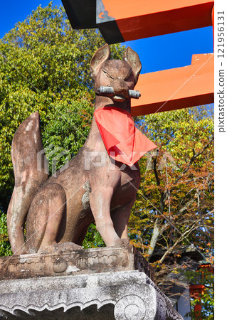 Fushimi Inari Taisha Shrine, Kyoto: Guardian Fox (Fushimi Ward, Kyoto City, Kyoto Prefecture) 121956131