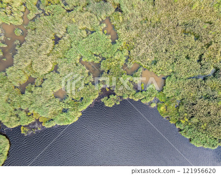 Aerial view of lake or river green shore with forest. Summer season. Aerial view of lake or river green shore with forest. Summer season. 121956620