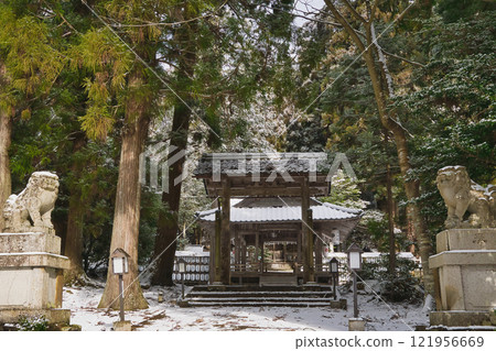 參觀美山的雪草村 121956669