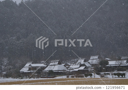 參觀美山的雪草村 參觀美山的雪草村 121956671