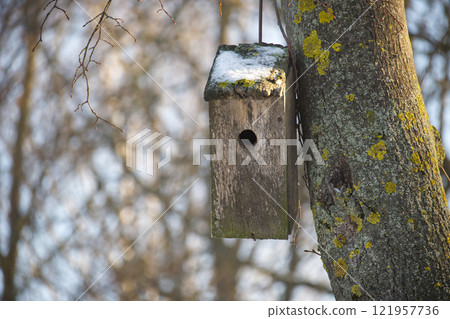 Old wooden birdhouse hanging on a tree in winter 121957736