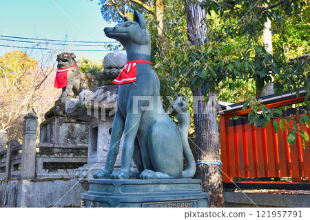 京都伏見稻荷大社狐狸與守護犬(京都府京都市伏見區) 京都伏見稻荷大社狐狸與守護犬(京都府京都市伏見區) 121957791