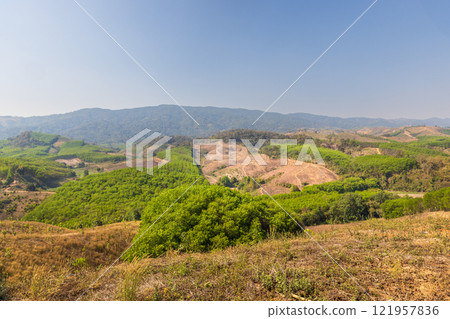 The biggest cause of forest loss is agricultural deforestation ,environmental damage in Southeast Asia , global warming and environment. 121957836