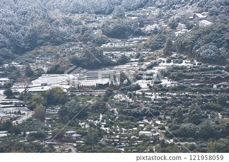 Snowscape of Nagasaki, southern Kyushu Snowscape of Nagasaki, southern Kyushu 121958059