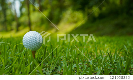 Close-up of golf ball on tee in beautiful golf course at sunset background. 121958223