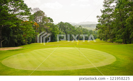 Green grass and woods on a golf field. View of Golf Course with beautiful putting green. 121958225