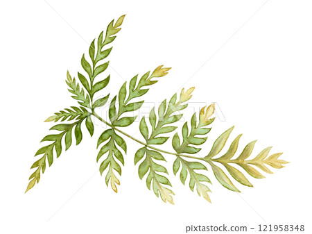 Bracken fern leaf textured botanical illustration in earth tone. Hand drawn watercolor floral element of prehistoric plant. Perfect for the use of ecological material and sustainable designs. 121958348