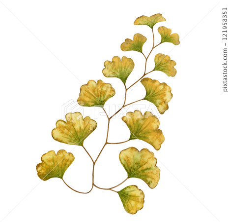 Maidenhair fern leaf textured botanical illustration in earth tone. Hand drawn watercolor floral element of prehistoric plant. Perfect for the use of ecological material and sustainable designs. 121958351