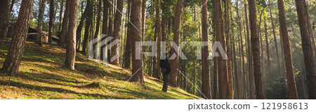 travel and people activity concept with asian man hiking in tropical forest with pine tree on mountain travel and people activity concept with asian man hiking in tropical forest with pine tree on mountain 121958613