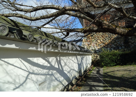 Fukuchiyama城堡在秋天 121958692