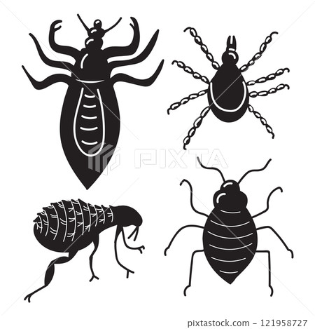 Insect parasites, head louse, pubic louse, flea, bed bug. Set of simple icons in black silhouette. Vector illustration isolated on white background. Vector illustration Insect parasites, head louse, pubic louse, flea, bed bug. Set of simple icons in black silhouette. Vector illustration isolated on white background. Vector illustration 121958727