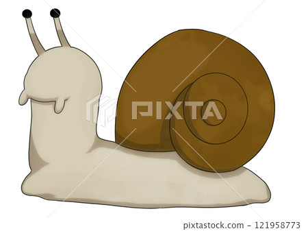 Cute snail illustration 121958773