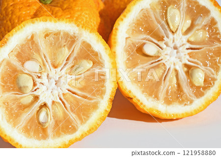 Yuzu from Saitama Prefecture 121958880