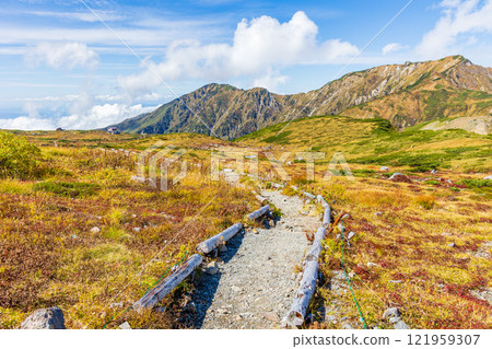 Autumn in the Tateyama Kurobe Alpine Route: Autumn leaves at Murododaira Autumn in the Tateyama Kurobe Alpine Route: Autumn leaves at Murododaira 121959307