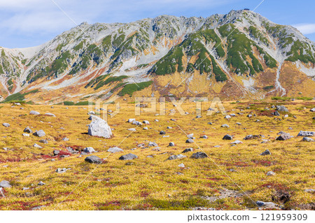 秋天的立山黑部阿爾卑斯山路線～紅葉的室堂平 121959309