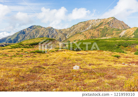 秋天的立山黑部阿爾卑斯山路線、秋葉的室堂平、大日山脈 秋天的立山黑部阿爾卑斯山路線、秋葉的室堂平、大日山脈 121959310