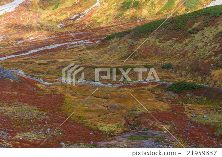 Autumn in the Tateyama Kurobe Alpine Route: Autumn leaves at Murododaira 121959337