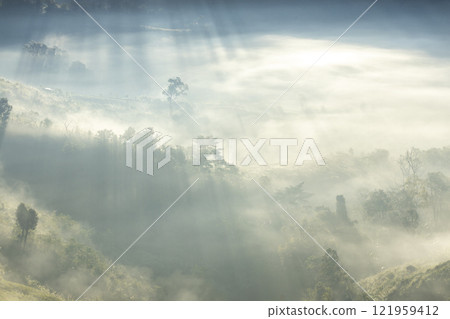 Landscape of Morning Mist with Mountain Layer. mountain ridge and clouds in rural jungle bush forest 121959412