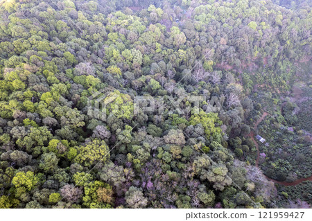 Landscape of Morning Mist with Mountain Layer. mountain ridge and clouds in rural jungle bush forest Landscape of Morning Mist with Mountain Layer. mountain ridge and clouds in rural jungle bush forest 121959427