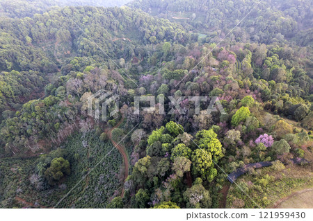 Landscape of Morning Mist with Mountain Layer. mountain ridge and clouds in rural jungle bush forest Landscape of Morning Mist with Mountain Layer. mountain ridge and clouds in rural jungle bush forest 121959430