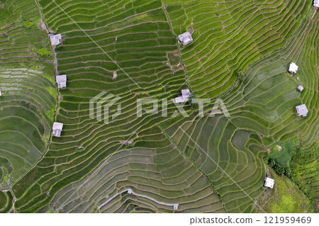 Terraced rice field at Mae Cham Chiangmai Northern Thailand 121959469