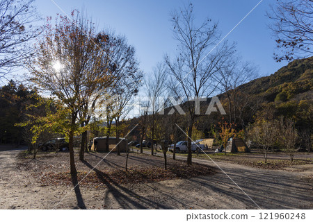 冬季露營地和落葉 冬季露營地和落葉 121960248