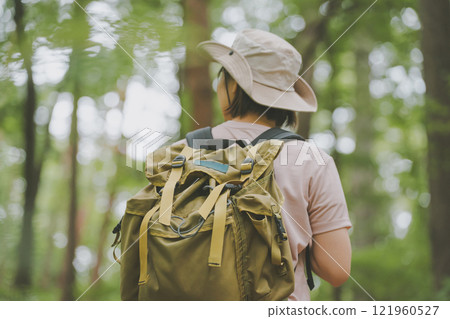 Summer Mountain Hiking 121960527