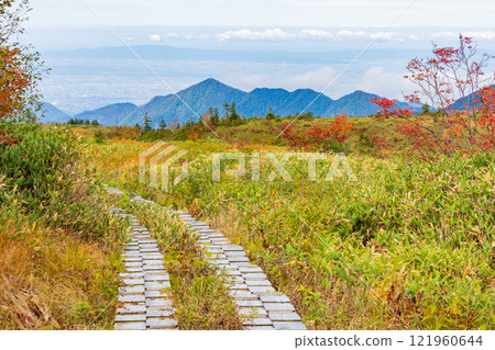 秋天的立山黑部阿爾卑斯山路線～紅葉的彌陀原 121960644