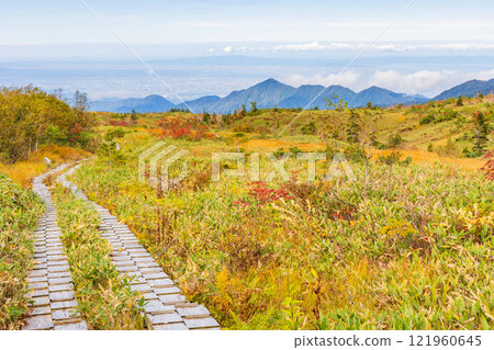 秋天的立山黑部阿爾卑斯山路線～紅葉的彌陀原 121960645