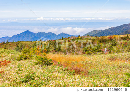 Autumn in the Tateyama Kurobe Alpine Route: Autumn leaves at Midagahara 121960646